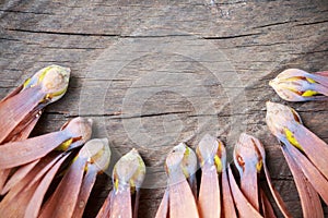 Wing seeds on wooden