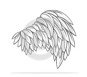 Wing Vector design