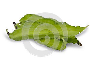 The Winged Bean,with clipping path,Winged beans contain carbohydrates, fibers, proteins, fats, calcium, iron,