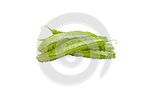 Winged Bean isolated on white background