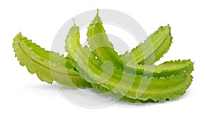Winged bean isolated on white background