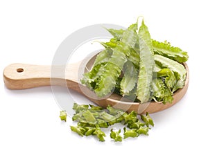 Winged bean an isolated on white background
