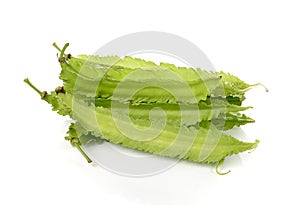 Winged bean on white background