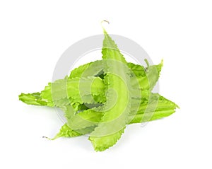 Winged bean on white background.