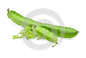 Winged bean on white background