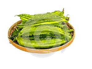 Winged bean on white background with clippingpath