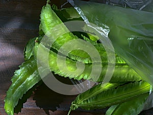 Winged beans or four-angled beans on wooden table