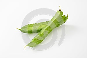 Winged beans on white background photo