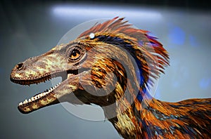 Winged dinosaur bird