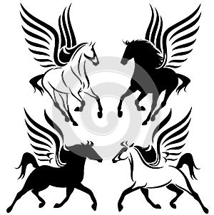 Winged horses vector photo