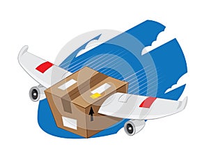 Winged Package express delivery