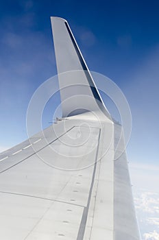 Winglet