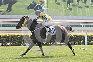 Wingold wins the Mount Parker Handicap in Hong Kong