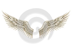 Wings of Angel