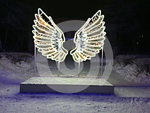 Wings angel alas winter invierno nieve snow photo