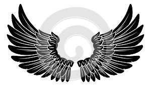 Wings Angel or Eagle Feathers Pair Illustration