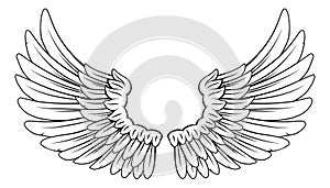 Wings Angel or Eagle Feathers Pair Illustration