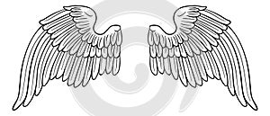 Wings Angel or Eagle Pair