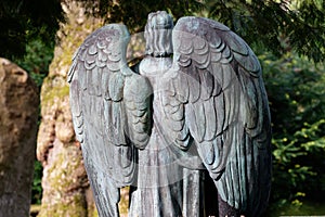 wings of an angel figure in a cemetery