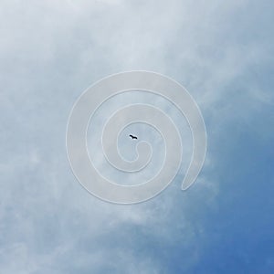 The Wings at The Beautiful Blue Sky