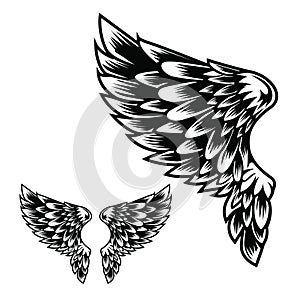 Wings Bird feather Black & White Tattoo Vector