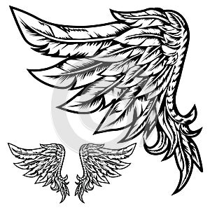 Wings Bird feather Black & White Tattoo Vector