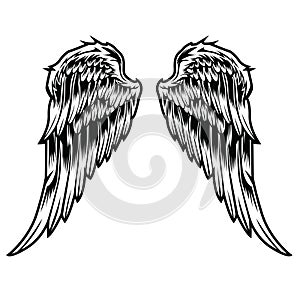 Wings Bird feather Black & White Tattoo Vector