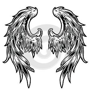 Wings Bird feather Black & White Tattoo Vector