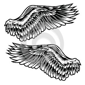 Wings Bird feather Black & White Tattoo Vector