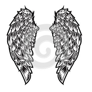 Wings Bird feather Black & White Tattoo Vector Illustration 10