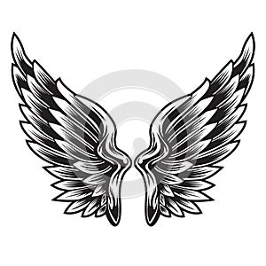 Wings Bird feather Black & White Tattoo Vector Illustration 11