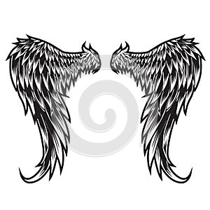 Wings Bird feather Black & White Tattoo Vector Illustration 33