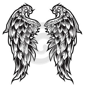 Wings Bird feather Black & White Tattoo Vector Illustration 44
