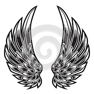 Wings Bird feather Black & White Tattoo Vector Illustration 55