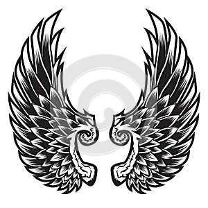 Wings Bird feather Black & White Tattoo Vector Illustration 88