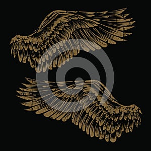 Wings Bird feather Gold Vintage on black background Vector