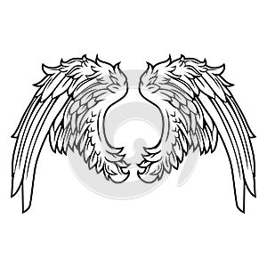 Wings Bird feather  Tattoo Hawk  Angel Wings Vector