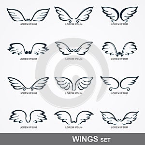 Wings collection