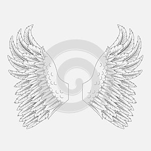 Wings design element vector