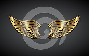 Wings from gold on a gray background.