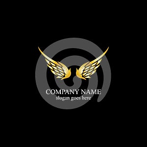 wings gold logo vector illustration template-vector