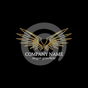 wings gold logo vector illustration template-vector