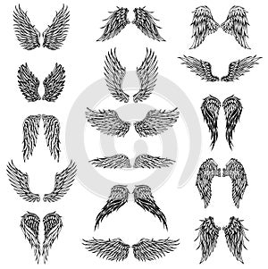 Wings graphic illustration