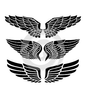 Wings for heraldry, tattoos, logos. photo