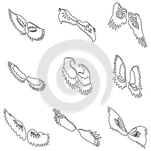 Wings icons set vector outine