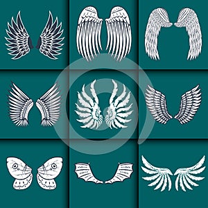 Wings isolated animal feather pinion bird freedom flight natural peace design vector illustration.