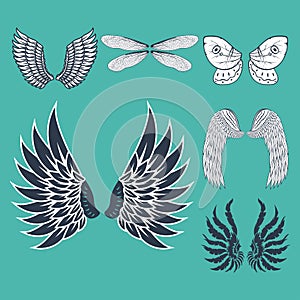 Wings isolated animal feather pinion bird freedom flight natural peace design vector illustration.