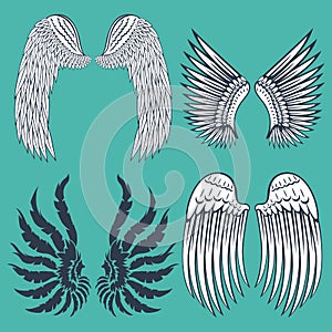 Wings isolated animal feather pinion bird freedom flight natural peace design vector illustration.