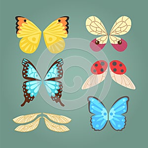 Wings isolated animal feather pinion butterfly freedom flight and natural hawk life peace design flying element eagle