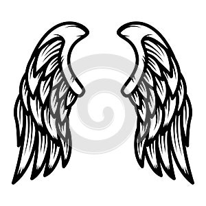 Wings isolated on white background. Design element for logo, label, emblem, sign.